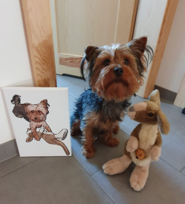 Dein Haustier als Cartoon gezeichnet photo review